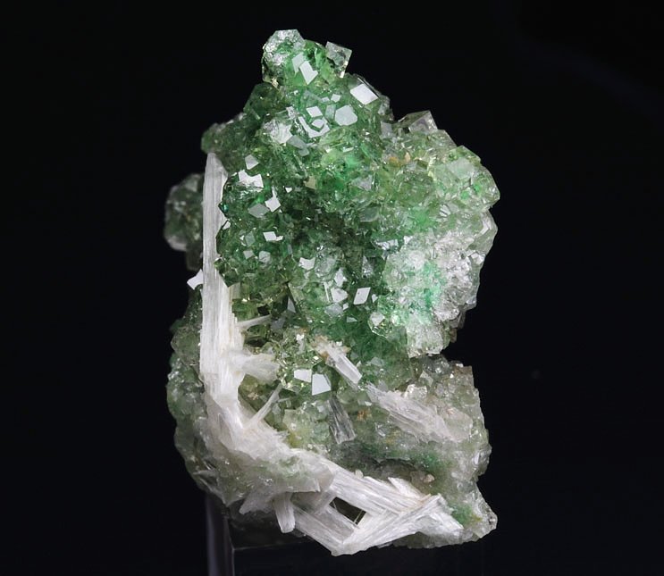 gem GARNET var. GROSSULAR with GREEN CHROMIAN PHANTOMS, PECTOLITE