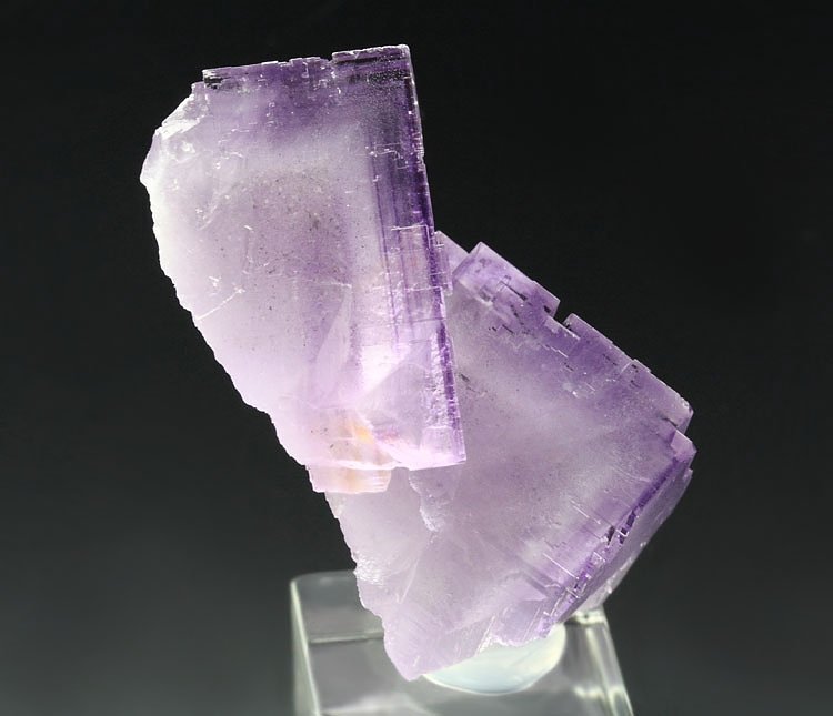 FLUORITE with PHANTOMS