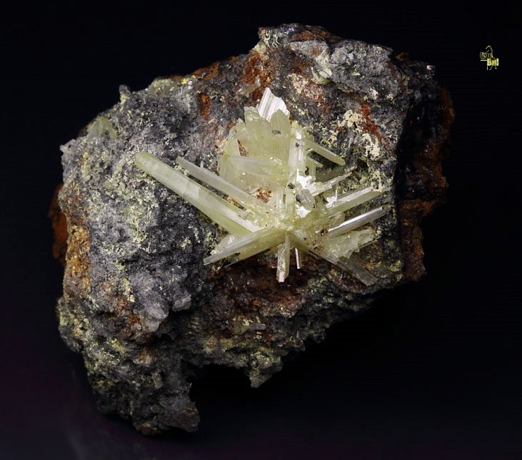 reticulated CERUSSITE