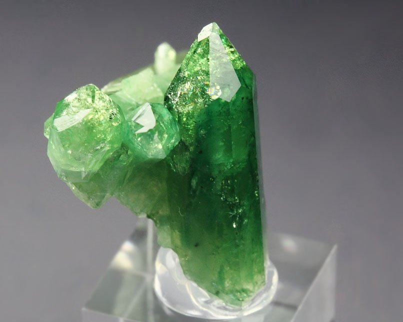 gem VESUVIANITE var. CHROMIAN