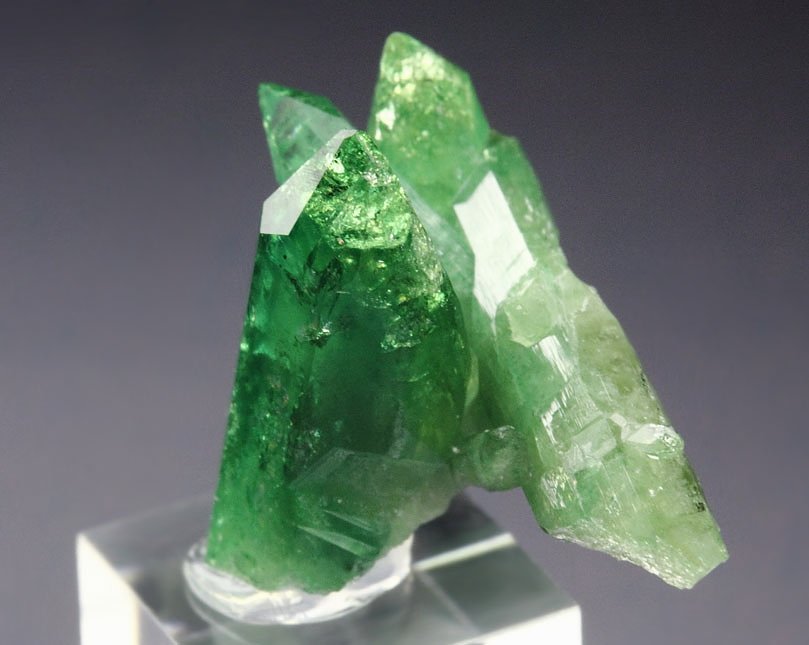 gem VESUVIANITE var. CHROMIAN