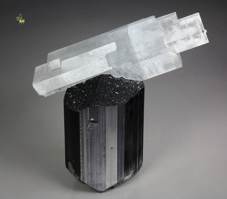 floater - gem BERYL var. GOSHENITE, TOURMALINE var. SCHORL