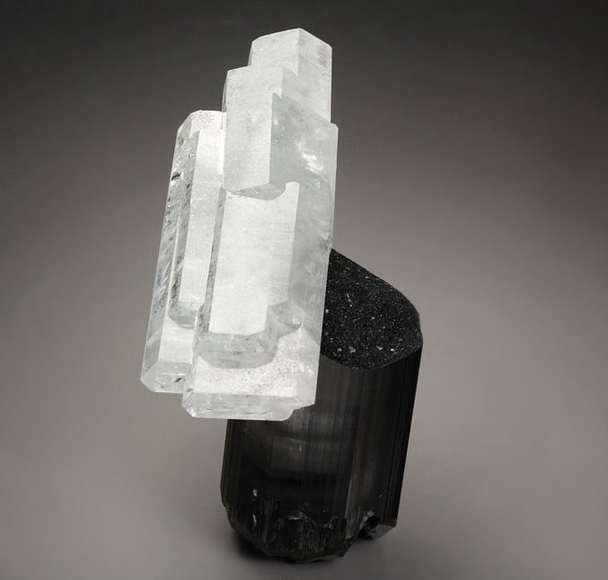 floater - gem BERYL var. GOSHENITE, TOURMALINE var. SCHORL