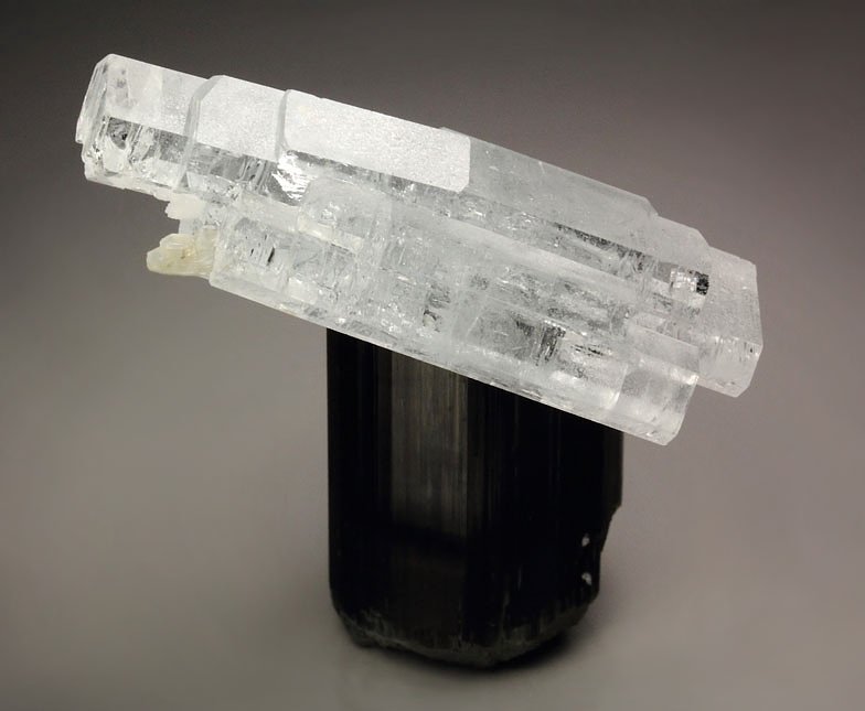 floater - gem BERYL var. GOSHENITE, TOURMALINE var. SCHORL