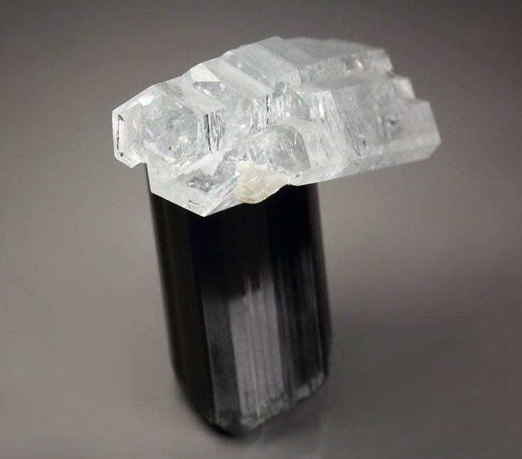 floater - gem BERYL var. GOSHENITE, TOURMALINE var. SCHORL