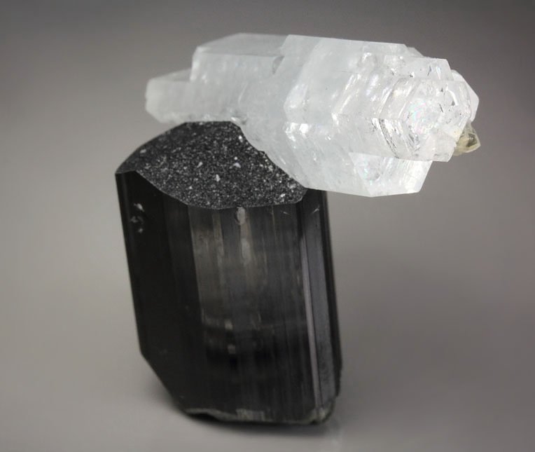 floater - gem BERYL var. GOSHENITE, TOURMALINE var. SCHORL