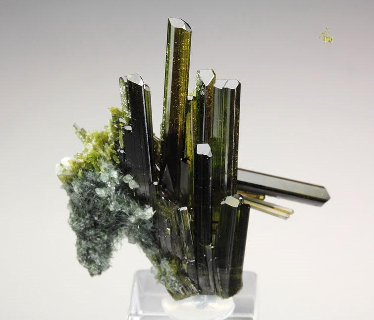 EPIDOTE, AMPHIBOLE GROUP var. BYSSOLITE, ALBITE