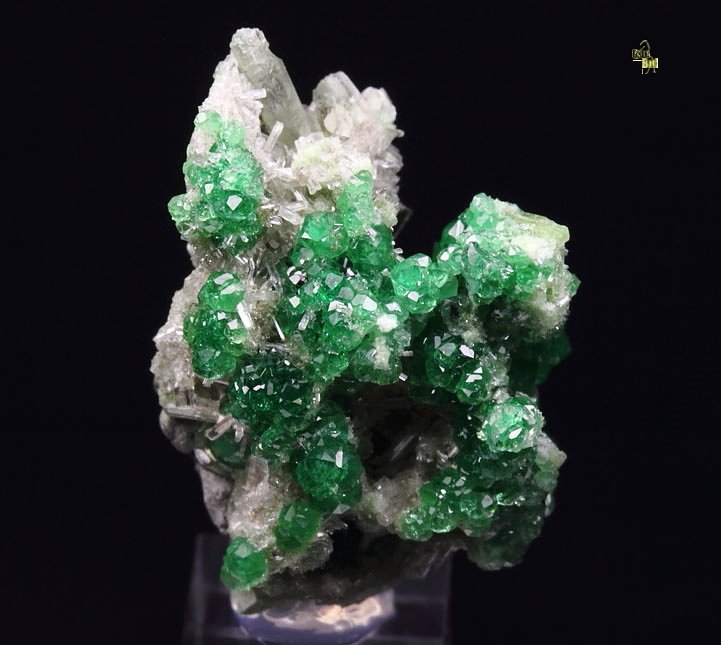 gem GARNET var. GROSSULAR var. CHROMIAN, DIOPSIDE