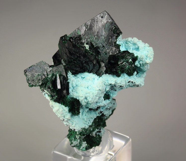 crystallized MALACHITE, CHRYSOCOLLA