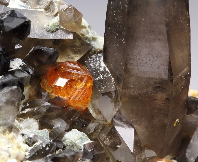 gem GARNET var. SPESSARTINE, QUARTZ var. SMOKY, MUSCOVITE