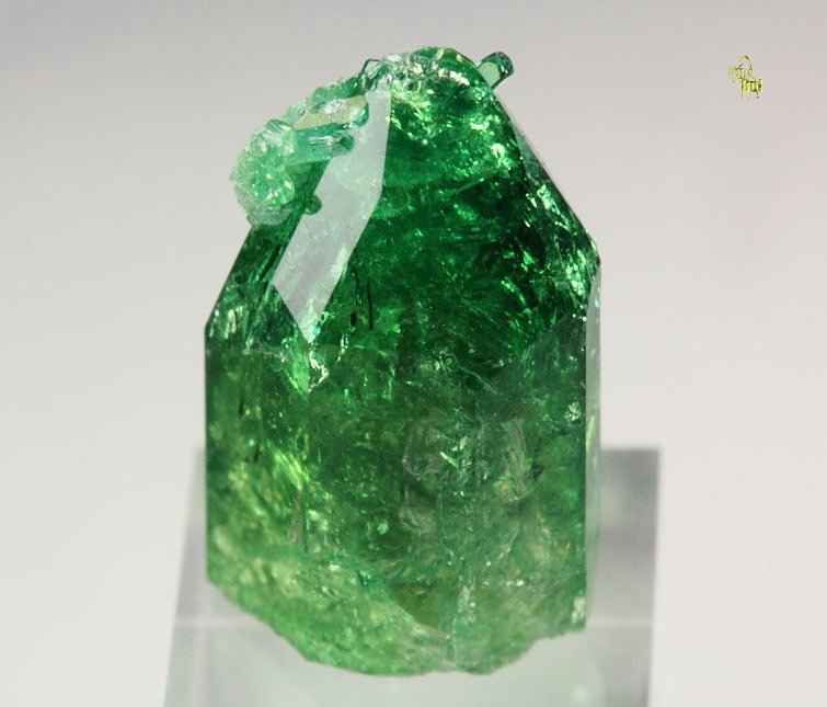 gem VESUVIANITE var. CHROMIAN