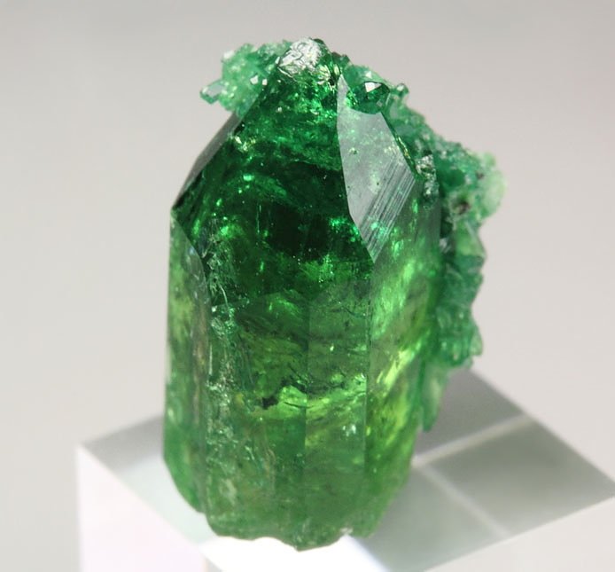 gem VESUVIANITE var. CHROMIAN