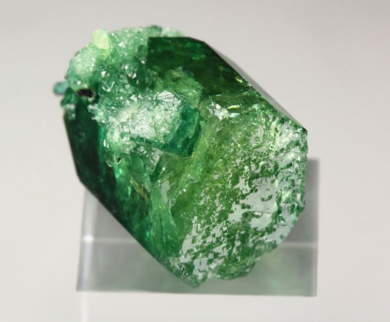 gem VESUVIANITE var. CHROMIAN