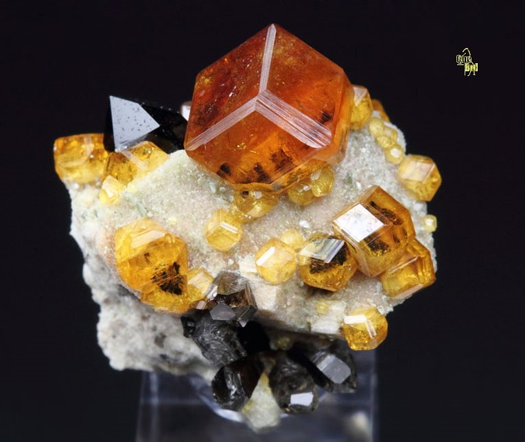 gem GARNET var. SPESSARTINE, QUARTZ var. SMOKY