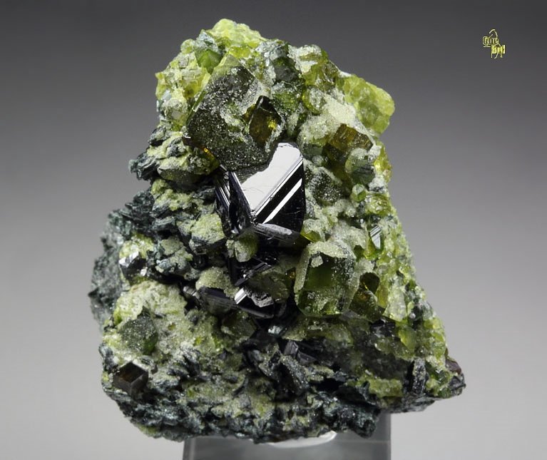 MAGNETITE, gemmy EPIDOTE, MUSCOVITE