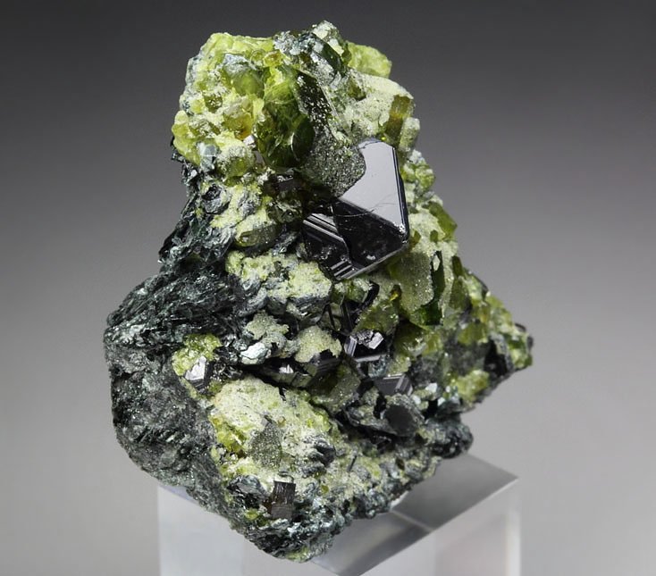 MAGNETITE, gemmy EPIDOTE, MUSCOVITE