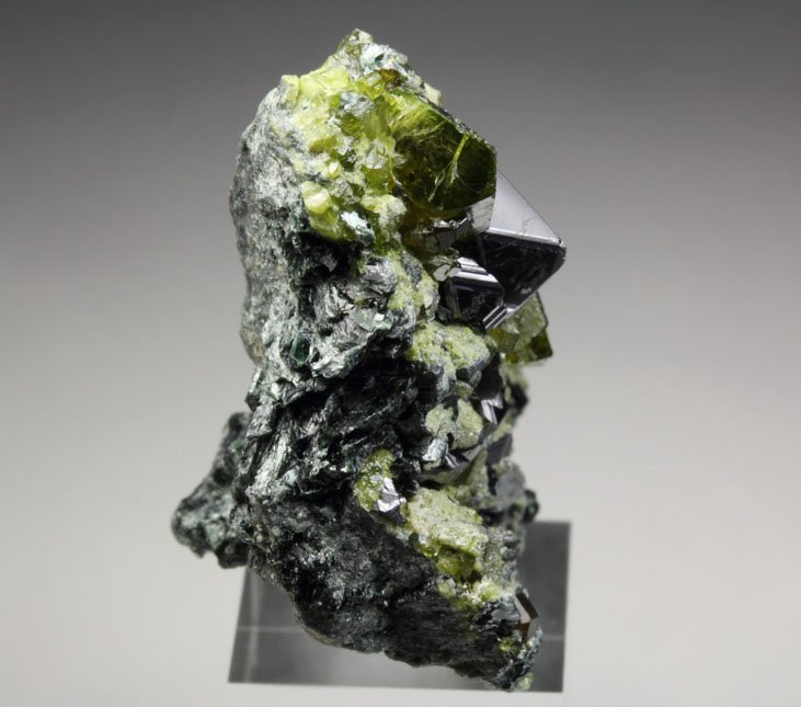 MAGNETITE, gemmy EPIDOTE, MUSCOVITE