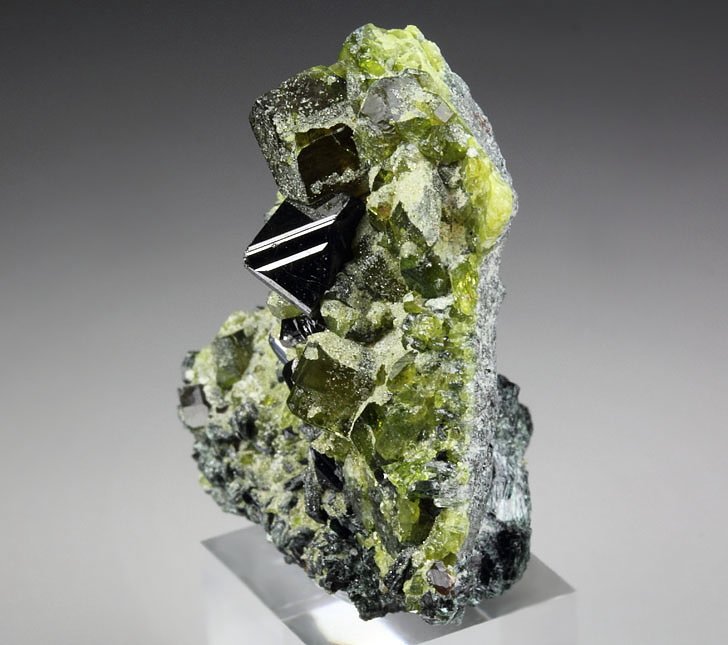 MAGNETITE, gemmy EPIDOTE, MUSCOVITE