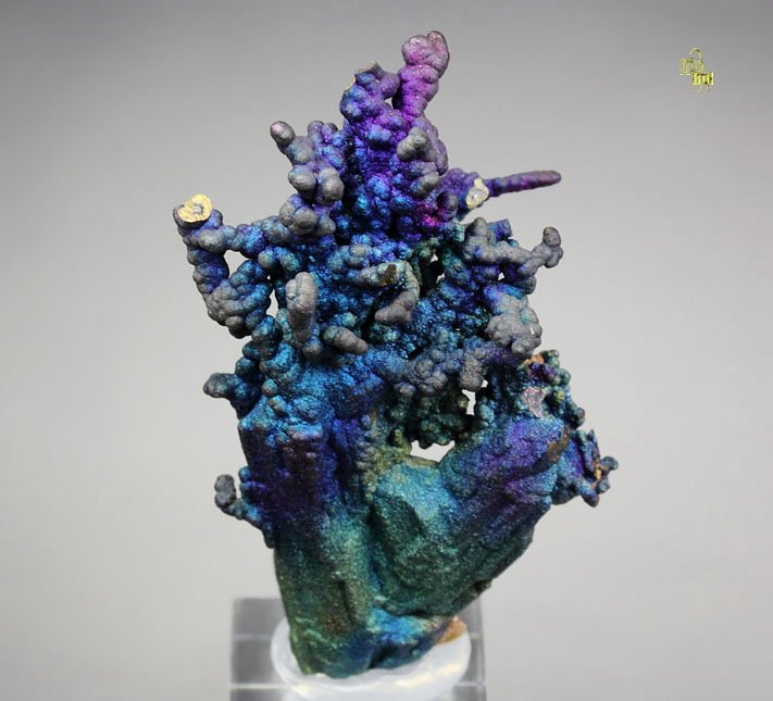 CHALCOCITE, DJURLEITE, iridescent CHALCOPYRITE