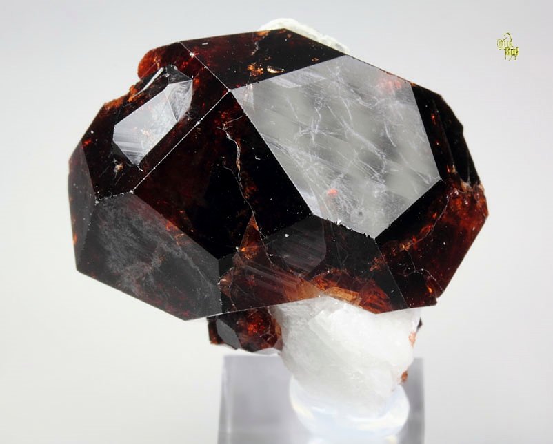 gem GARNET var. SPESSARTINE, ALBITE