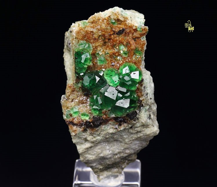 gem GARNET var. GROSSULAR var. CHROMIAN, DIOPSIDE