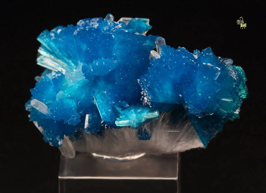 CAVANSITE, MORDENITE, STILBITE 