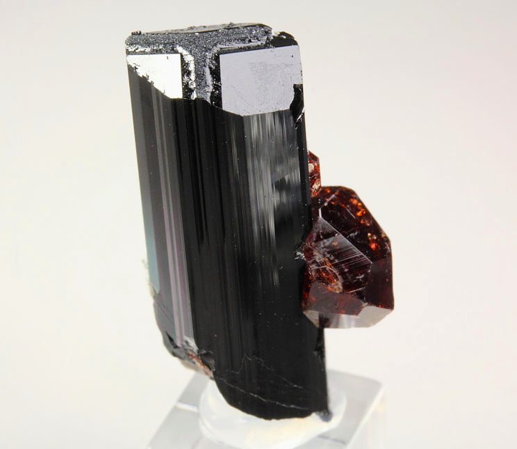 gem GARNET var. SPESSARTINE, TOURMALINE var. SCHORL