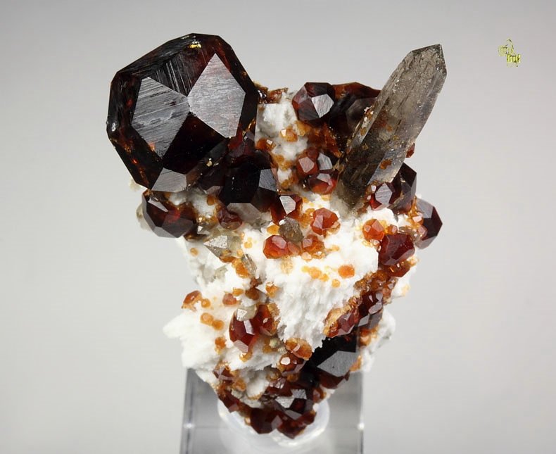 gemmy GARNET var. SPESSARTINE, QUARTZ var. SMOKY