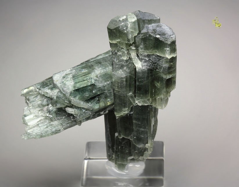 gemmy TREMOLITE