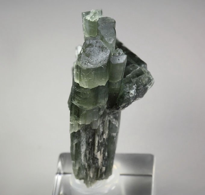 gemmy TREMOLITE