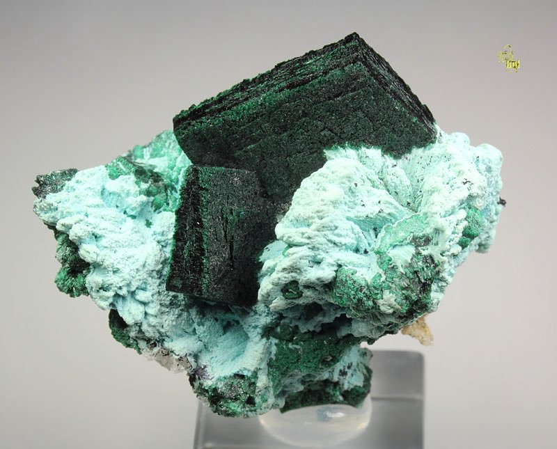 crystallized MALACHITE, CHRYSOCOLLA