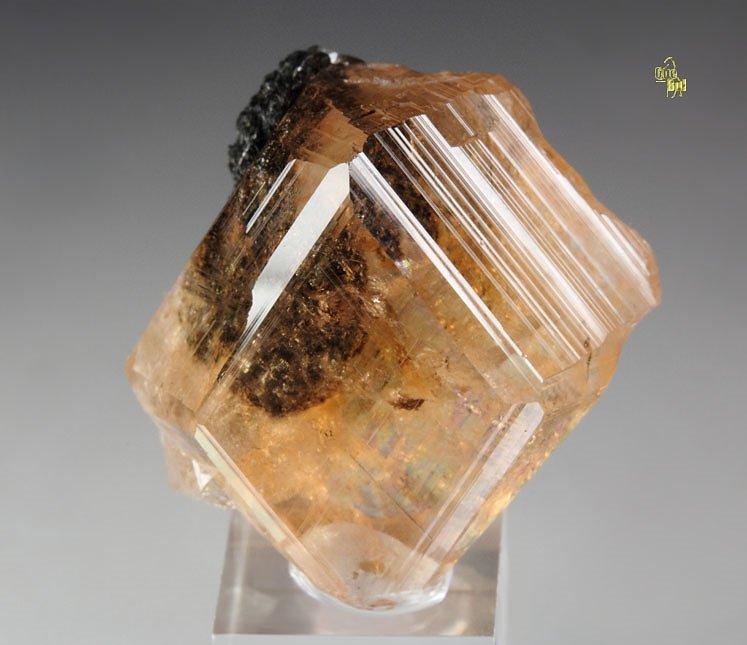 gem GARNET var. GROSSULAR