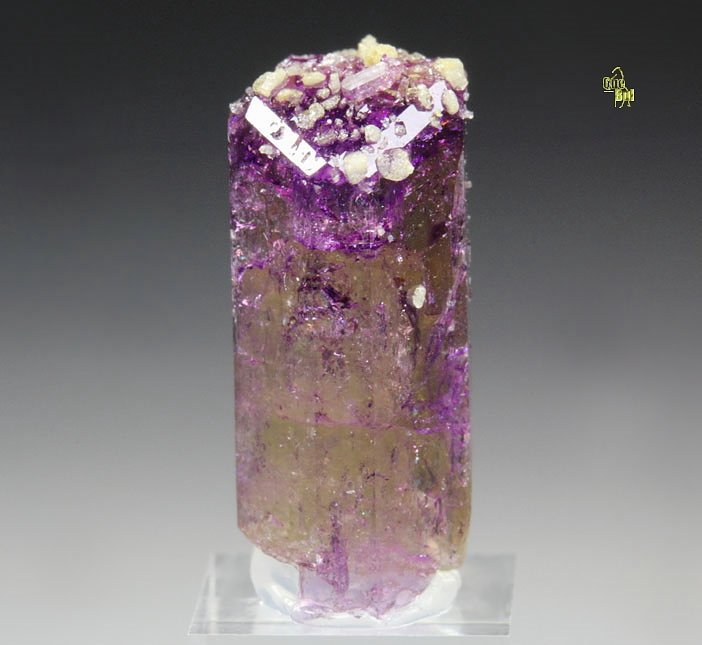 gem VESUVIANITE bi-color, GARNET var. GROSSULAR