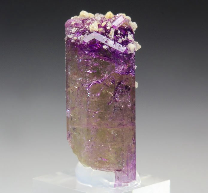 gem VESUVIANITE bi-color, GARNET var. GROSSULAR