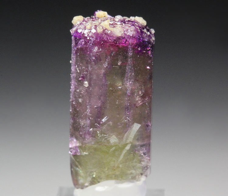 gem VESUVIANITE bi-color, GARNET var. GROSSULAR