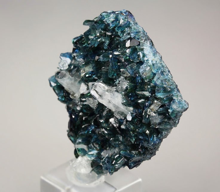 gem LAZULITE, QUARTZ