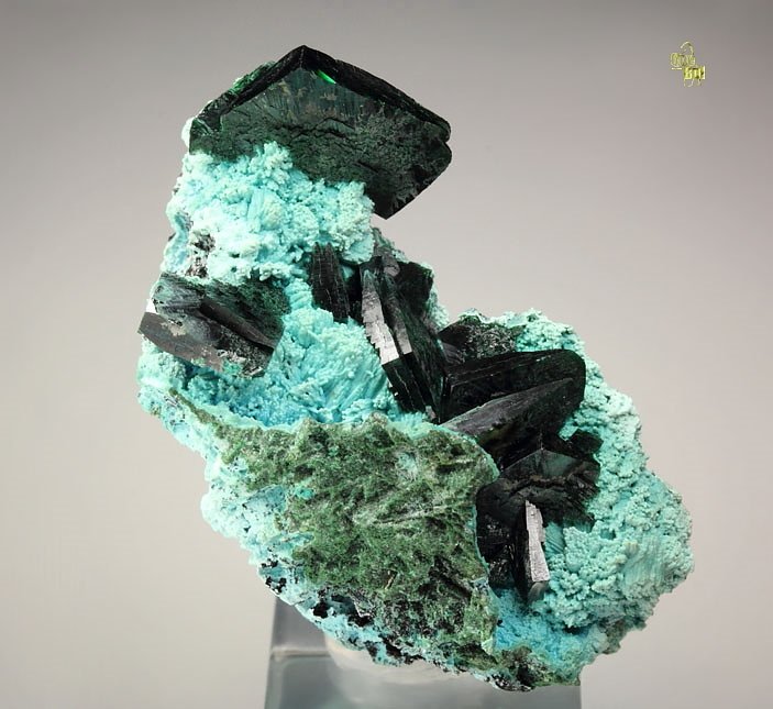 crystallized MALACHITE, CHRYSOCOLLA