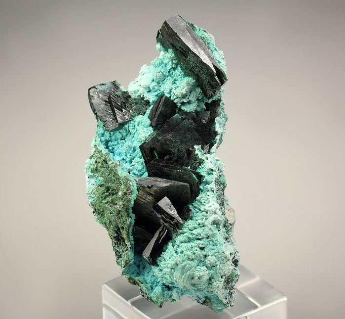 crystallized MALACHITE, CHRYSOCOLLA