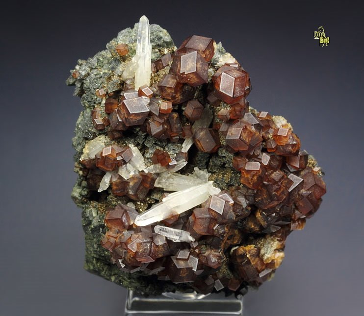 GARNET var. ANDRADITE, HEDENBERGITE, QUARTZ