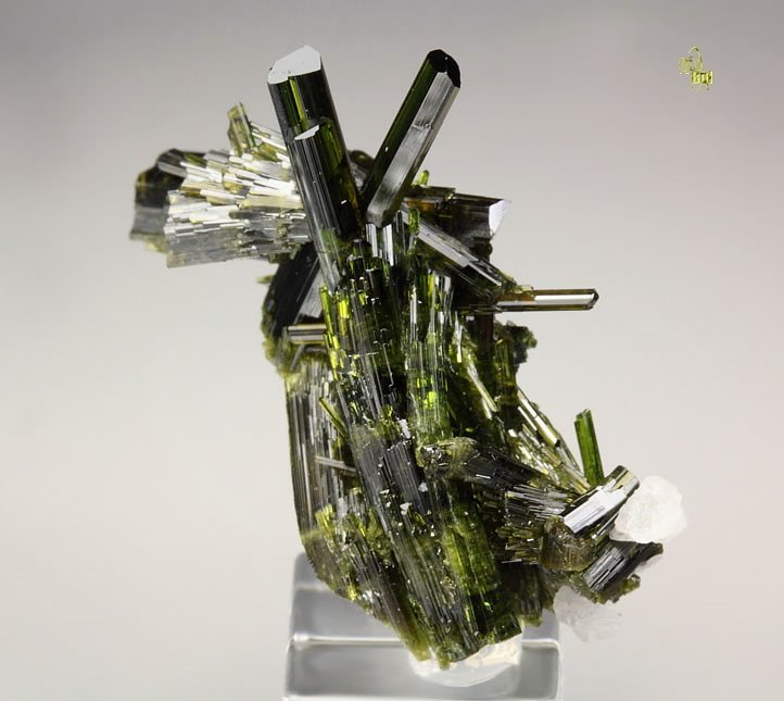 EPIDOTE, ALBITE