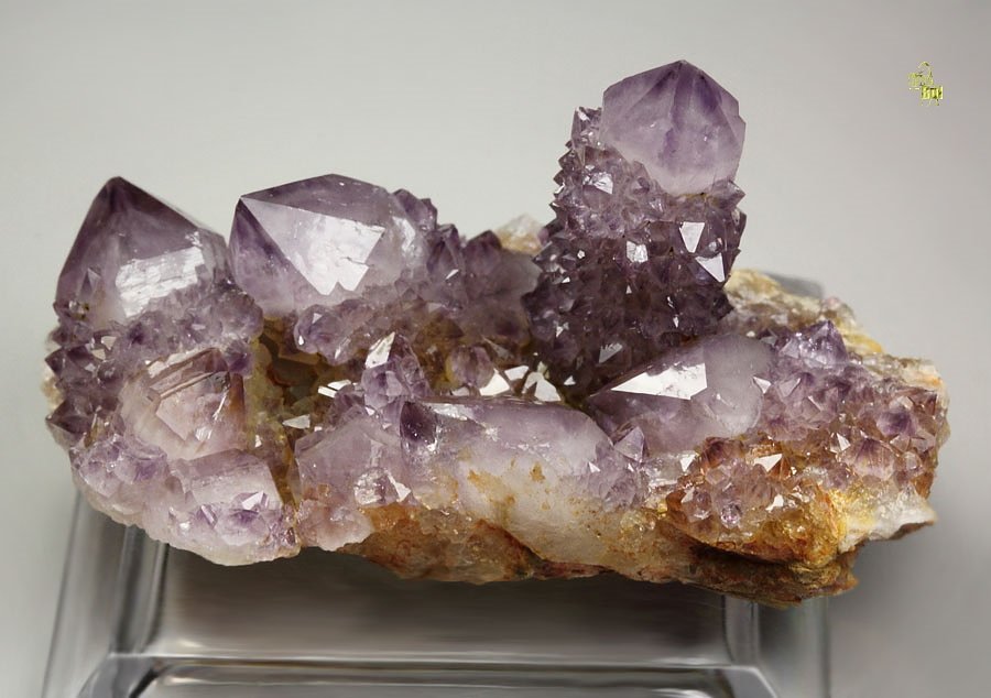 cactus QUARTZ var. AMETHYST