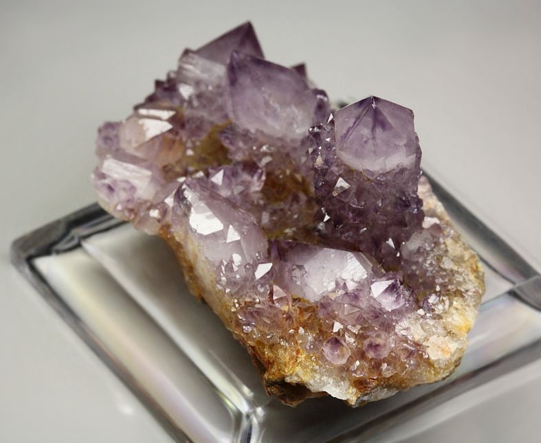 cactus QUARTZ var. AMETHYST