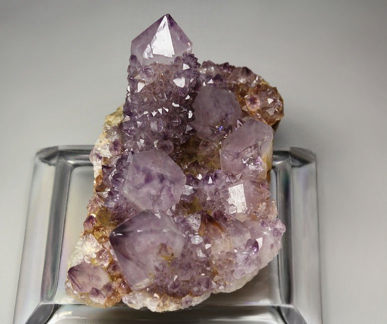 cactus QUARTZ var. AMETHYST