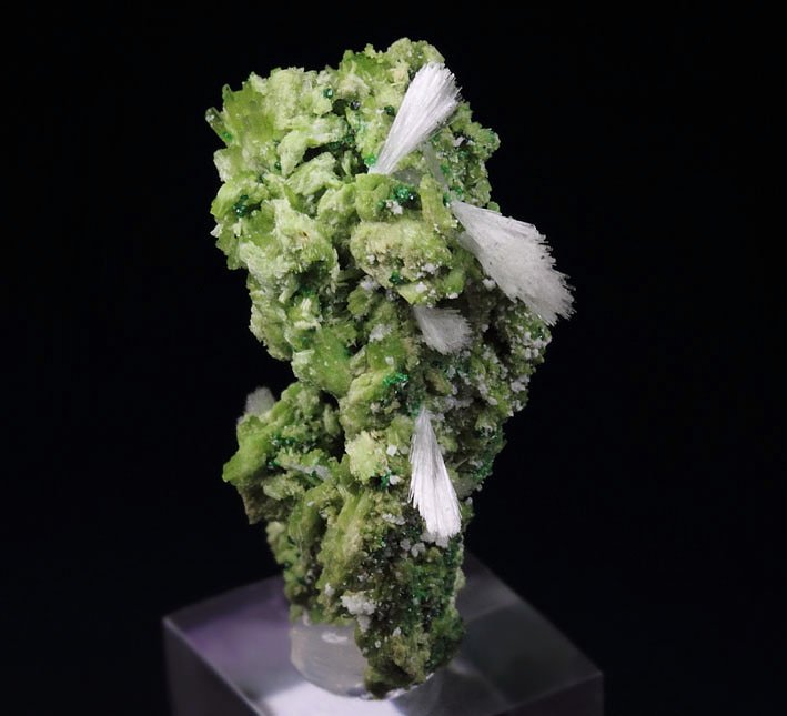 PECTOLITE, DIOPSIDE, GARNET var. GROSSULAR var. CHROMIAN