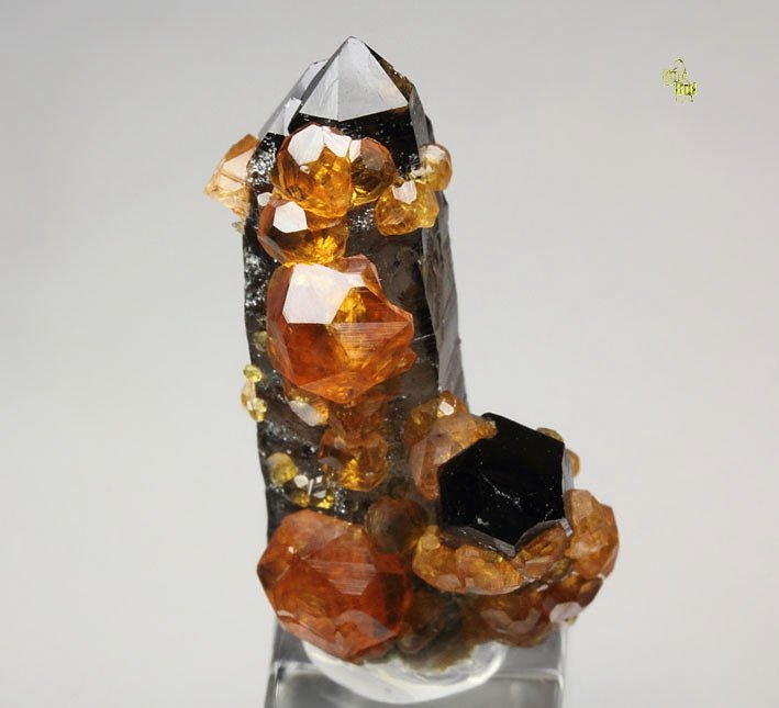 gem GARNET var. SPESSARTINE, QUARTZ var. SMOKY