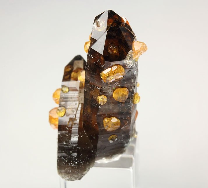 gem GARNET var. SPESSARTINE, QUARTZ var. SMOKY