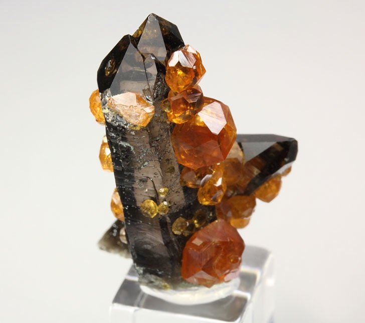 gem GARNET var. SPESSARTINE, QUARTZ var. SMOKY