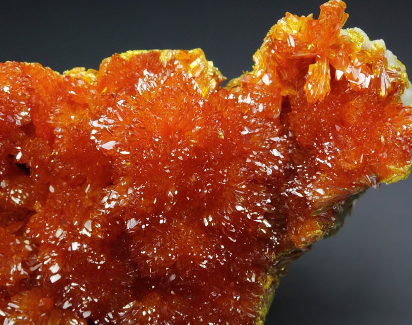 ORPIMENT