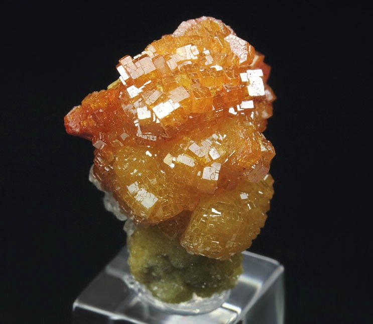 new find - VANADINITE bi-color