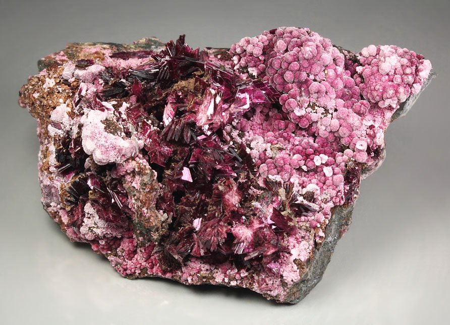 new find - ERYTHRITE two habits